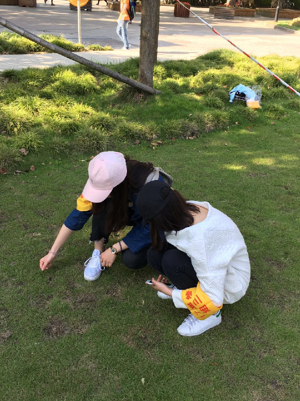 英国上市公司365