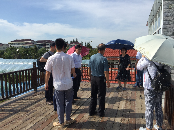 英国上市公司365